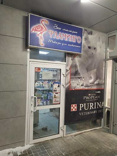 Новая точка продаж! Зоомагазин "Фламинго"! 