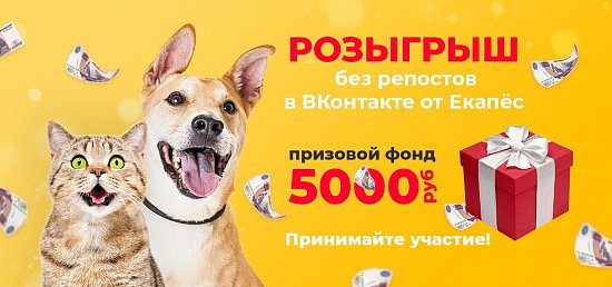 Итоги большого розыгрыша
