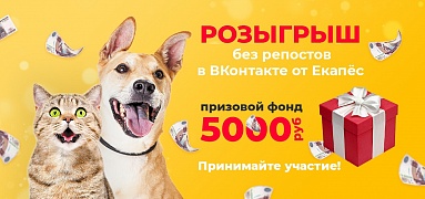 Итоги большого розыгрыша