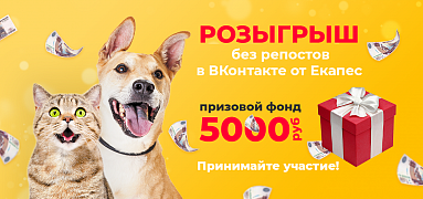 Розыгрыш в ВКонтакте