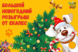 Большой новогодний розыгрыш от Екапес!
